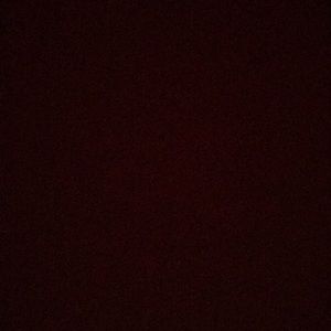 Meet your Posher, Gavin